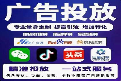 某品牌的信息流广告投放策略及效果展示